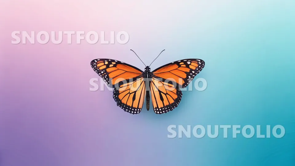 Wild Charm of the Monarch
