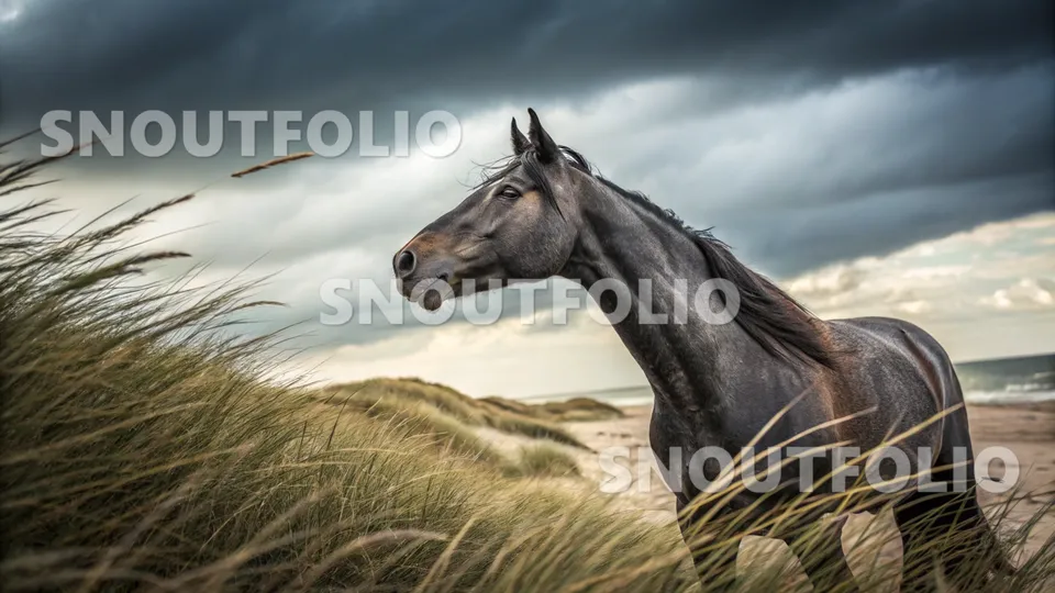 Vivid Whiff of the Trakehner