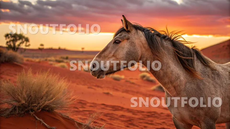 Quiet Companion of the Brumby